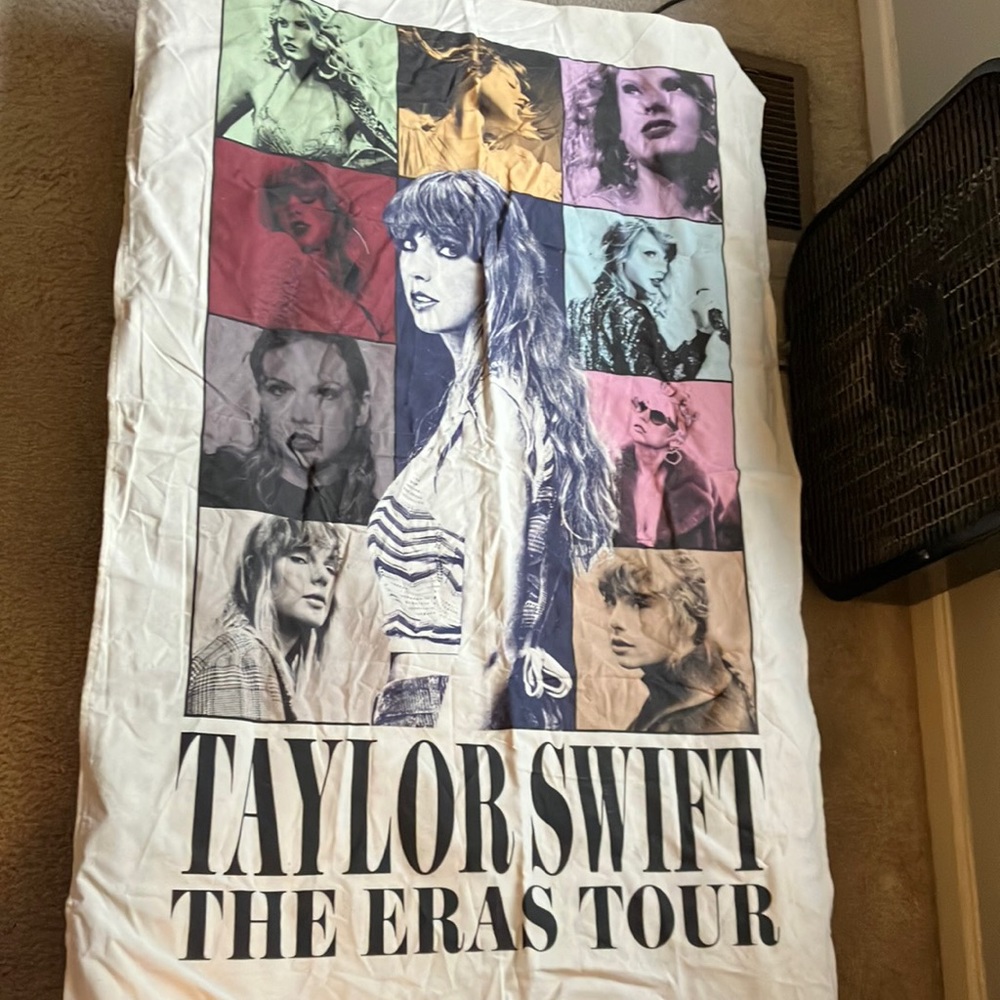 Taylor swift eras tour canvas wall picture